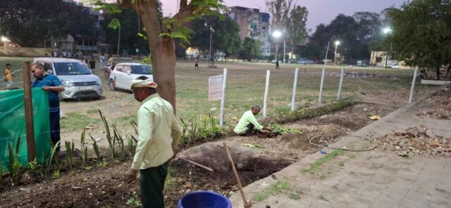tree-2026 (19)