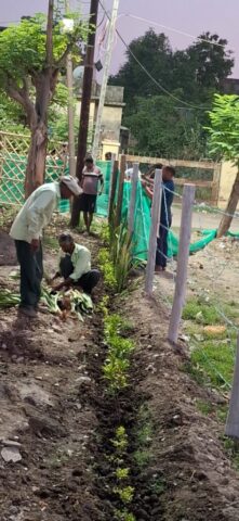 tree-2026 (21)