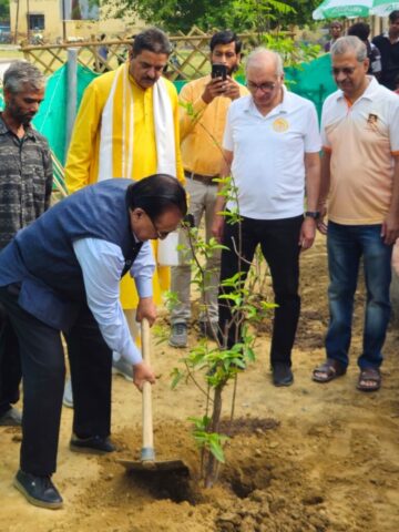 tree-2026-inaug (12)