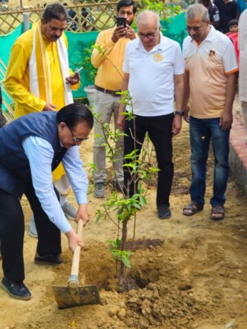 tree-2026-inaug (14)