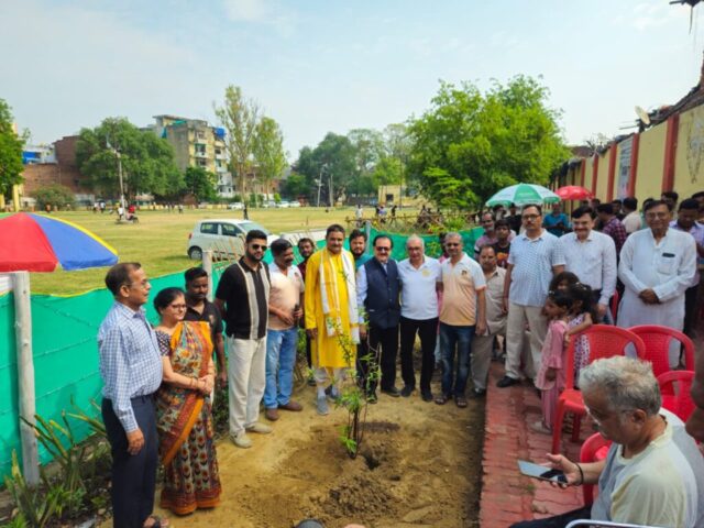 tree-2026-inaug (15)