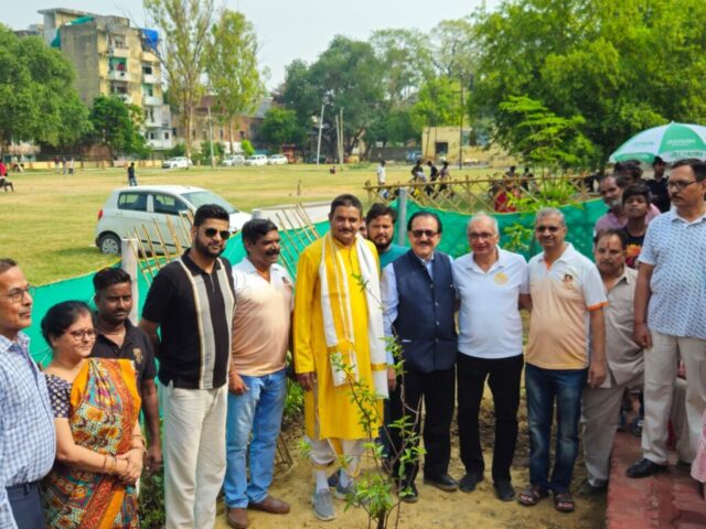 tree-2026-inaug (16)