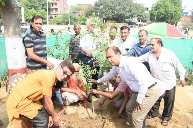 tree-2026-inaug (26)