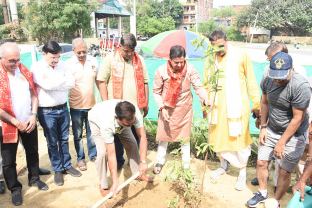 tree-2026-inaug (27)
