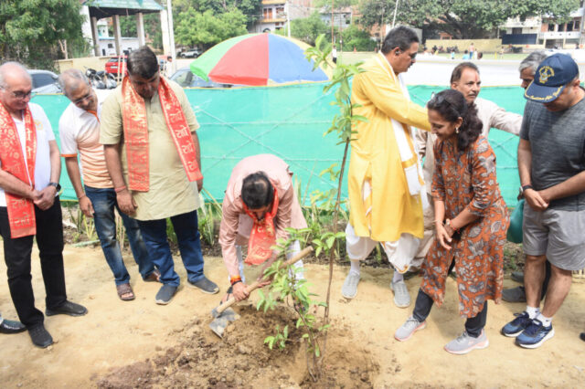 tree-2026-inaug (28)