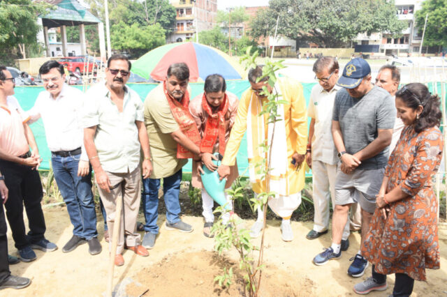 tree-2026-inaug (29)
