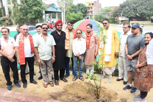 tree-2026-inaug (30)