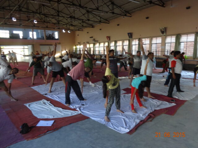 yog-2015 (10)