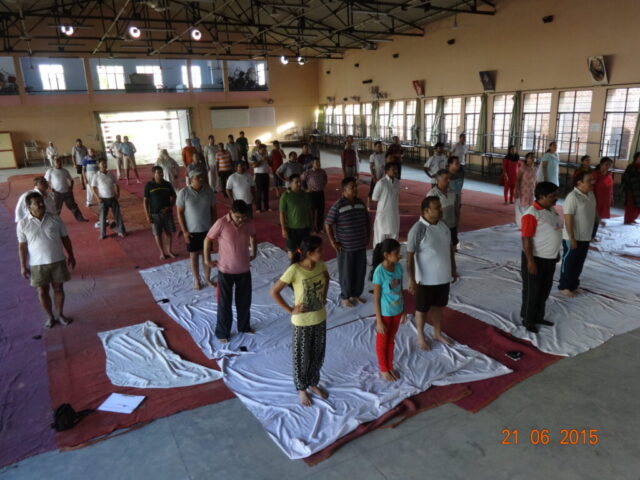 yog-2015 (11)