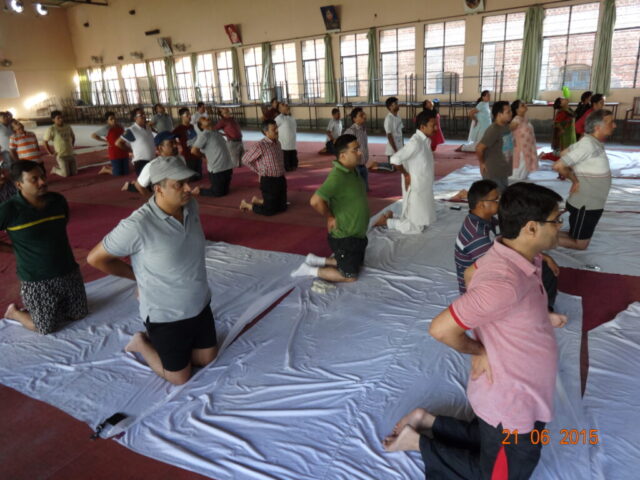 yog-2015 (15)