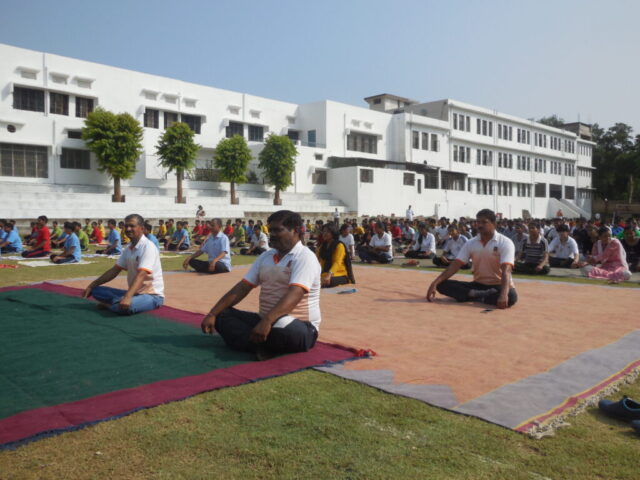 yog-2017 (11)