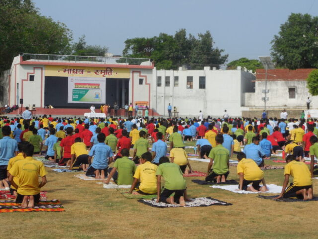 yog-2017 (19)